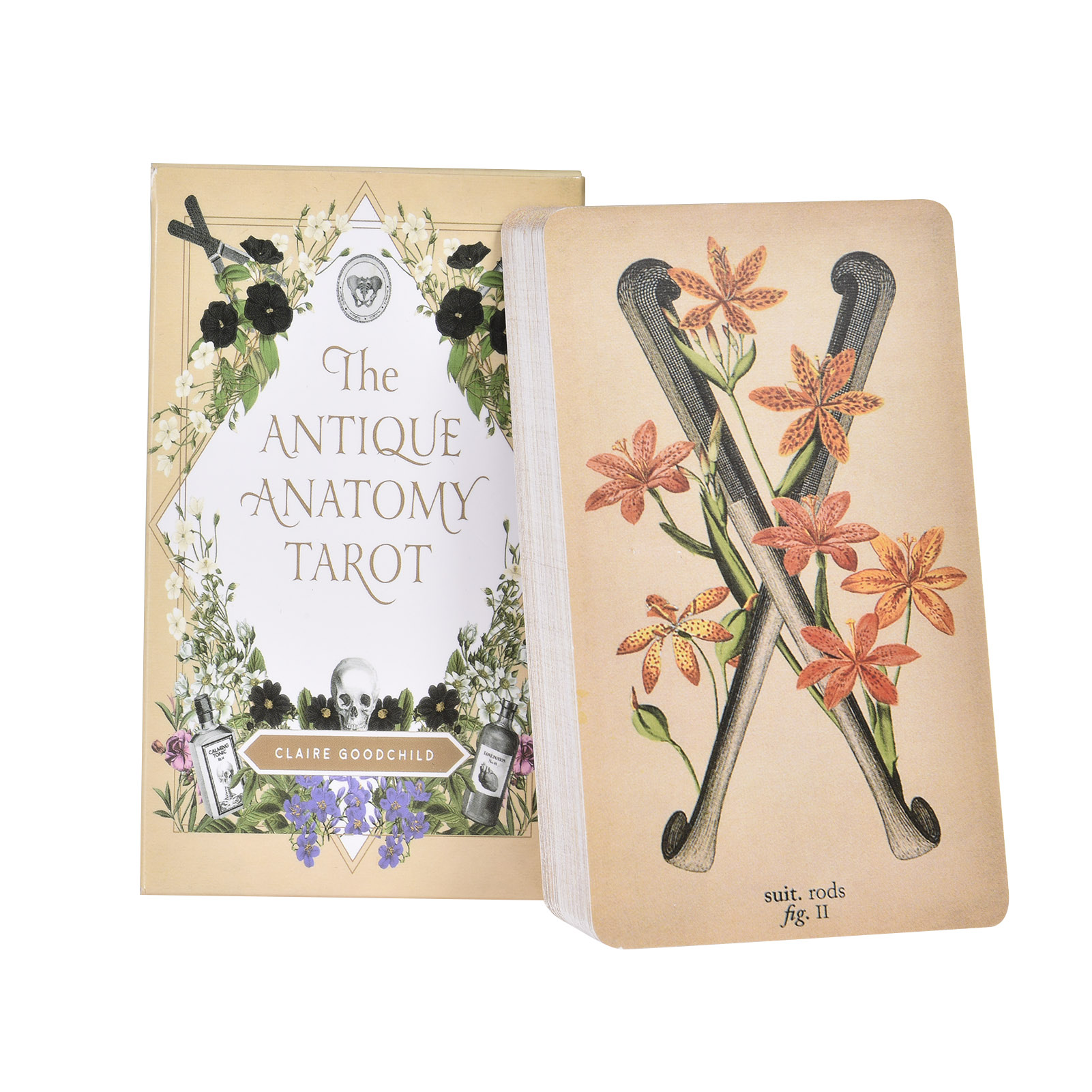 The Antique Anatomy Tarot Card - Tarot Deck With Guidebook recension och pris